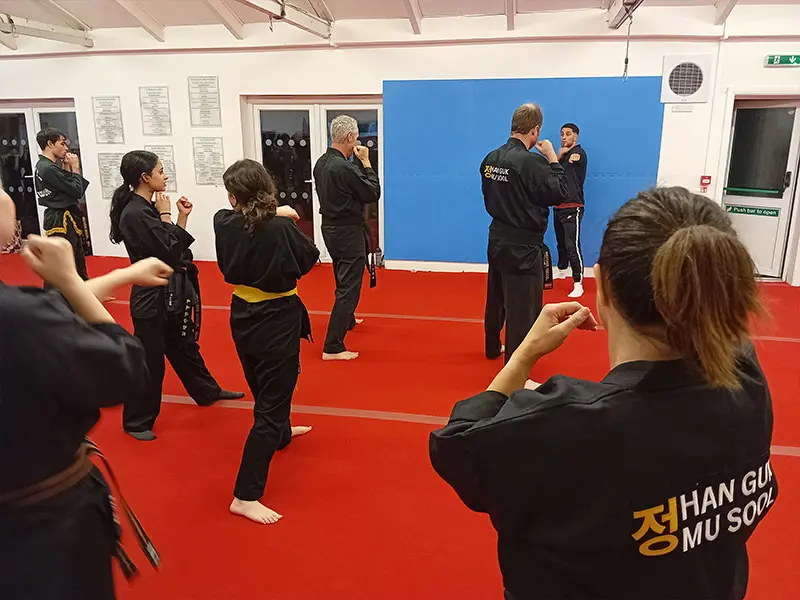 Adult Jiu-Jitsu Classes Near Me in Weybridge
